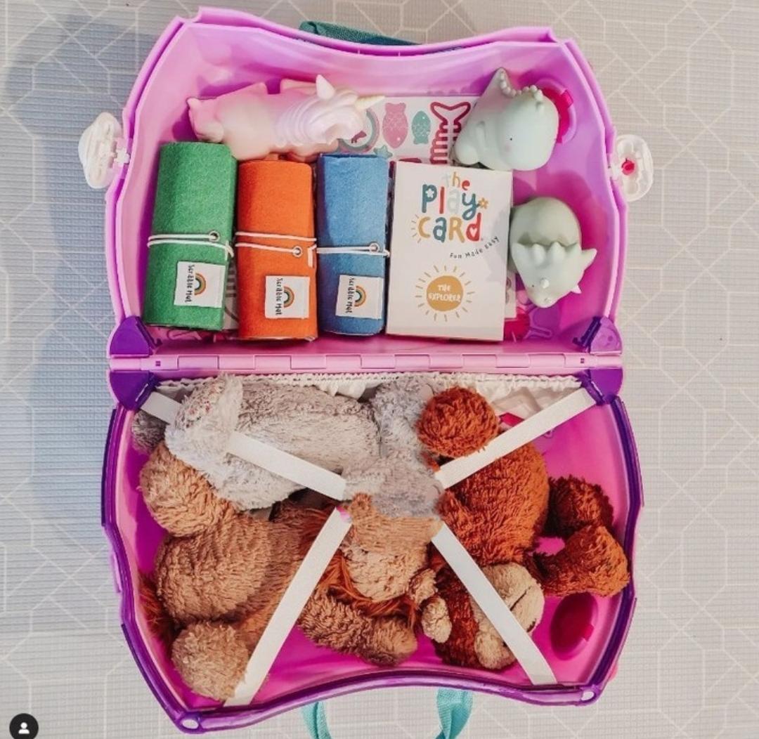 Evergreen Fun Case - Evergreen Toy Store