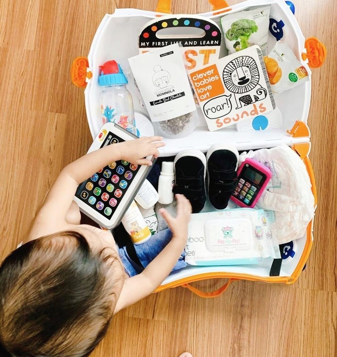 Evergreen Fun Case - Evergreen Toy Store
