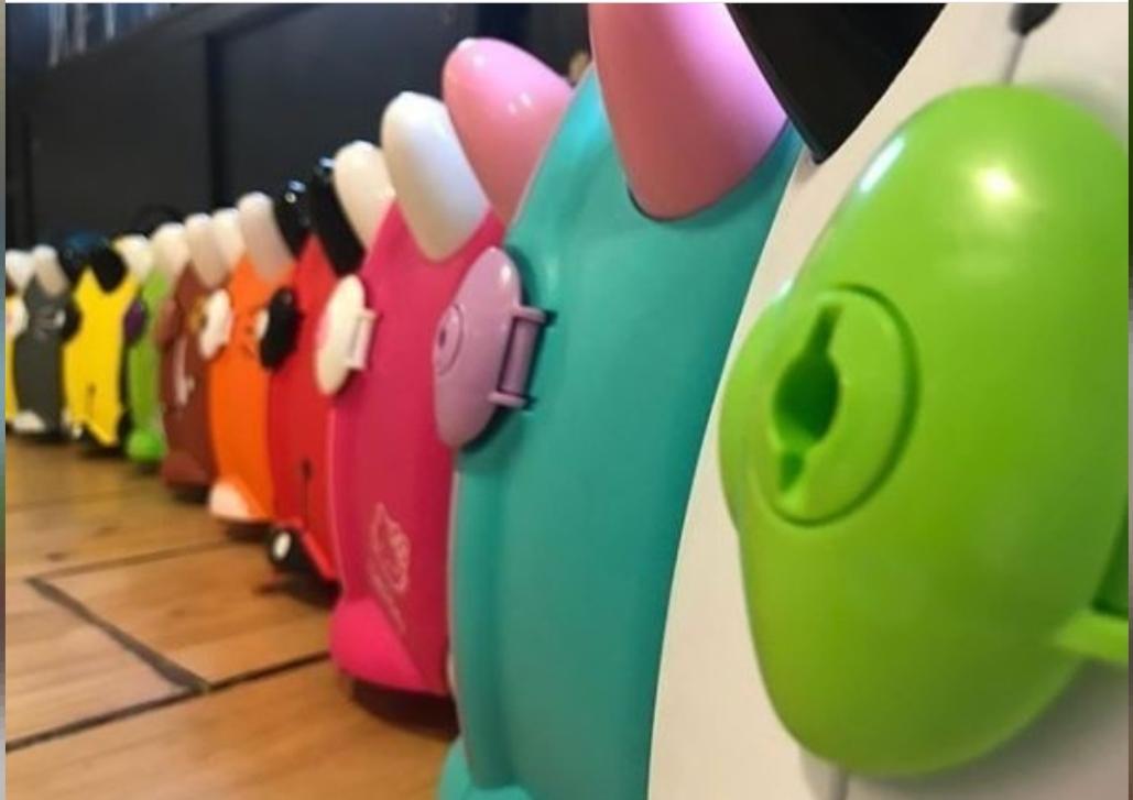 Evergreen Fun Case - Evergreen Toy Store