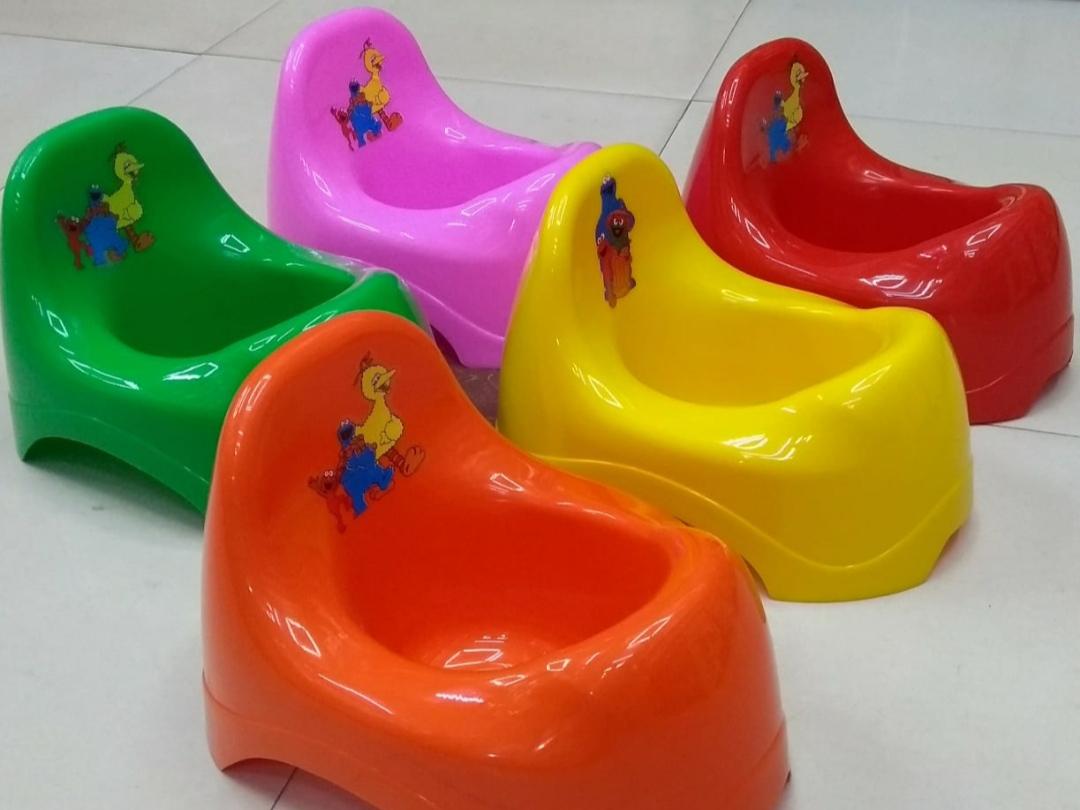 Evergreen Potty Seat - Evergreen Toy Store